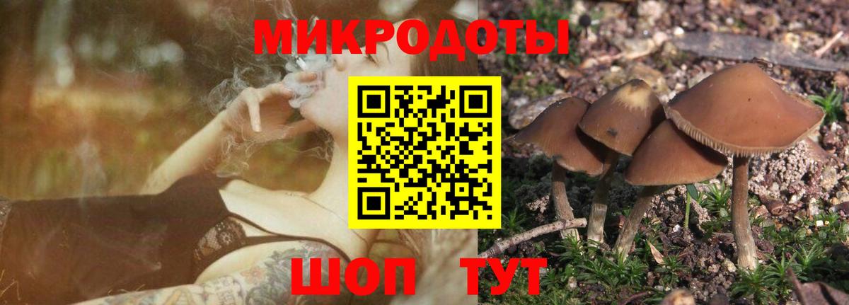 Ступино  что такое   Вход с VPN  Псилоцибиновые грибы MAGIC MUSHROOMS 